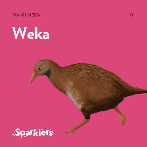 Manu-Weka-1